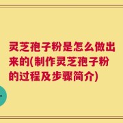 灵芝孢子粉是怎么做出来的(制作灵芝孢子粉的过程及步骤简介)