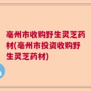 亳州市收购野生灵芝药材(亳州市投资收购野生灵芝药材)