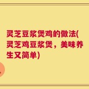 灵芝豆浆煲鸡的做法(灵芝鸡豆浆煲，美味养生又简单)