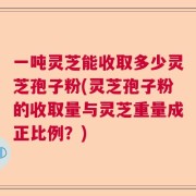一吨灵芝能收取多少灵芝孢子粉(灵芝孢子粉的收取量与灵芝重量成正比例？)