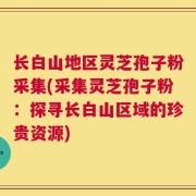 长白山地区灵芝孢子粉采集(采集灵芝孢子粉：探寻长白山区域的珍贵资源)