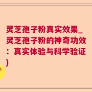 灵芝孢子粉真实效果_灵芝孢子粉的神奇功效：真实体验与科学验证)