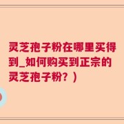 灵芝孢子粉在哪里买得到_如何购买到正宗的灵芝孢子粉？)