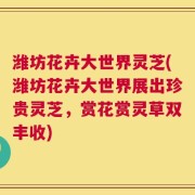 潍坊花卉大世界灵芝(潍坊花卉大世界展出珍贵灵芝，赏花赏灵草双丰收)