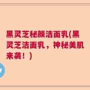 黑灵芝秘颜洁面乳(黑灵芝洁面乳，神秘美肌来袭！)