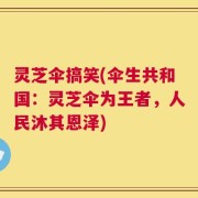 灵芝伞搞笑(伞生共和国：灵芝伞为王者，人民沐其恩泽)
