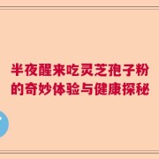 半夜醒来吃灵芝孢子粉的奇妙体验与健康探秘