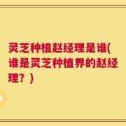 灵芝种植赵经理是谁(谁是灵芝种植界的赵经理？)