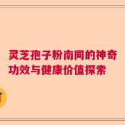 灵芝孢子粉南同的神奇功效与健康价值探索