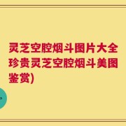 灵芝空腔烟斗图片大全珍贵灵芝空腔烟斗美图鉴赏)