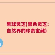 黑球灵芝(黑色灵芝：自然界的珍贵宝藏)