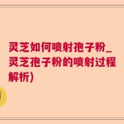灵芝如何喷射孢子粉_灵芝孢子粉的喷射过程解析)