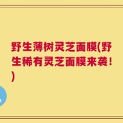 野生薄树灵芝面膜(野生稀有灵芝面膜来袭！)