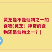 灵芝是不是仙物之一的食物(灵芝：神奇的食物还是仙物之一？)