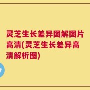 灵芝生长差异图解图片高清(灵芝生长差异高清解析图)