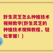 野生灵芝怎么种植技术视频教学(野生灵芝的种植技术视频教程，轻松掌握！)