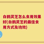 白鹤灵芝怎么食用效果好(白鹤灵芝的最佳食用方式及功效)