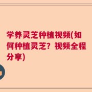 学养灵芝种植视频(如何种植灵芝？视频全程分享)