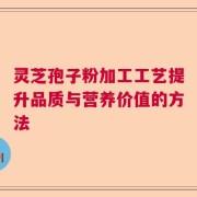 灵芝孢子粉加工工艺提升品质与营养价值的方法