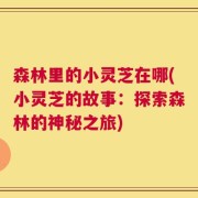 森林里的小灵芝在哪(小灵芝的故事：探索森林的神秘之旅)