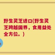 野生灵芝进口(野生灵芝跨越国界，食用益处全方位。)