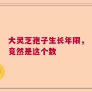 大灵芝孢子生长年限，竟然是这个数