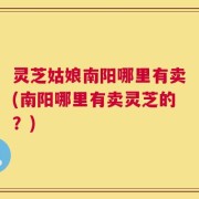 灵芝姑娘南阳哪里有卖(南阳哪里有卖灵芝的？)