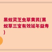 黑蚁灵芝虫草黄芪(黑蚁草三宝有效延年益寿)