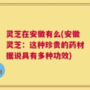 灵芝在安徽有么(安徽灵芝：这种珍贵的药材据说具有多种功效)