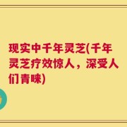 现实中千年灵芝(千年灵芝疗效惊人，深受人们青睐)