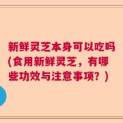 新鲜灵芝本身可以吃吗(食用新鲜灵芝，有哪些功效与注意事项？)