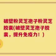 破壁粉灵芝孢子粉灵芝胶囊(破壁灵芝孢子胶囊，提升免疫力！)