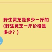 野生灵芝是多少一斤的(野生灵芝一斤价格是多少？)