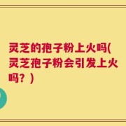 灵芝的孢子粉上火吗(灵芝孢子粉会引发上火吗？)