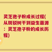 灵芝孢子粉成长过程(从斑驳树干到益生菌源：灵芝孢子粉的成长历程)