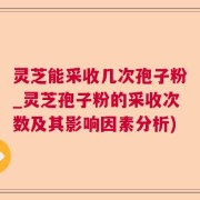 灵芝能采收几次孢子粉_灵芝孢子粉的采收次数及其影响因素分析)