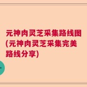 元神肉灵芝采集路线图(元神肉灵芝采集完美路线分享)