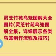 灵芝竹苑鸟笼图解大全图片(灵芝竹苑鸟笼图解全集，详细展示各类鸟笼制作流程及技巧)