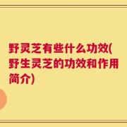 野灵芝有些什么功效(野生灵芝的功效和作用简介)