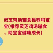 灵芝鸡汤辅食推荐吗宝宝(推荐灵芝鸡汤辅食，助宝宝健康成长)