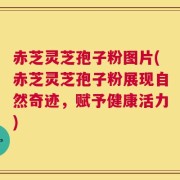 赤芝灵芝孢子粉图片(赤芝灵芝孢子粉展现自然奇迹，赋予健康活力)