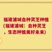 福建浦城自种灵芝种植(福建浦城：自种灵芝，生态种植美好未来)