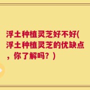 浮土种植灵芝好不好(浮土种植灵芝的优缺点，你了解吗？)