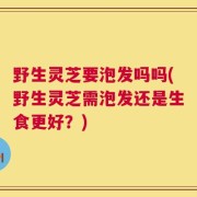 野生灵芝要泡发吗吗(野生灵芝需泡发还是生食更好？)