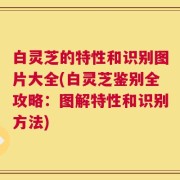白灵芝的特性和识别图片大全(白灵芝鉴别全攻略：图解特性和识别方法)