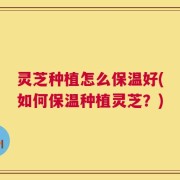 灵芝种植怎么保温好(如何保温种植灵芝？)