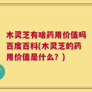 木灵芝有啥药用价值吗百度百科(木灵芝的药用价值是什么？)