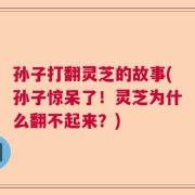 孙子打翻灵芝的故事(孙子惊呆了！灵芝为什么翻不起来？)