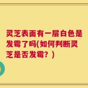 灵芝表面有一层白色是发霉了吗(如何判断灵芝是否发霉？)