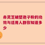 赤灵芝破壁孢子粉的功效与适用人群你知道多少